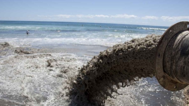 Gli scarichi industriali in mare che contaminano il pesce.