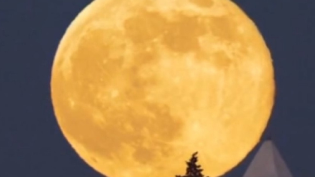 SuperLuna 2014: quando sar&agrave; visibile e come si manifesta | News ... - leonardo.it