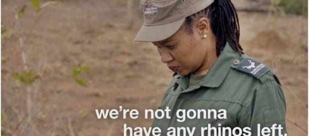 Al Jazeera Investigates - The Poachers Pipeline / screencap via Al Jazeera English, Youtube Al Jazeera Investigates - The Poachers Pipeline / screencap via Al Jazeera English, Youtube