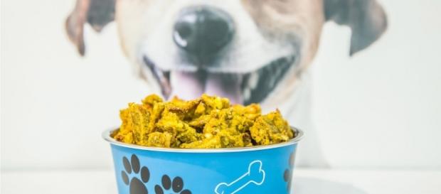 crocchette per cani fatte in casa crocchette per cani fatte in casa