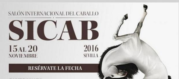 Sicab se celebrará del 15 al 20 de noviembre | Temas de cría ... - ecuestre.es Sicab se celebrará del 15 al 20 de noviembre | Temas de cría ... - ecuestre.es