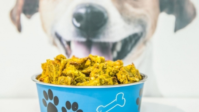 crocchette per cani fatte in casa