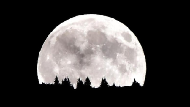Foto e video dello spettacolo della Superluna