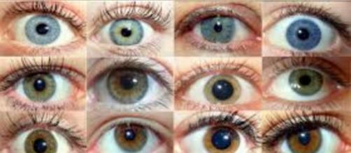 Cores de olhos existentes no mundo