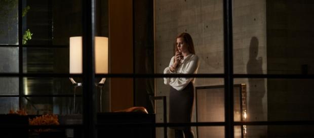 Animali Notturni, recensione del film di Tom Ford - Movieplayer.it - movieplayer.it Animali Notturni, recensione del film di Tom Ford - Movieplayer.it - movieplayer.it