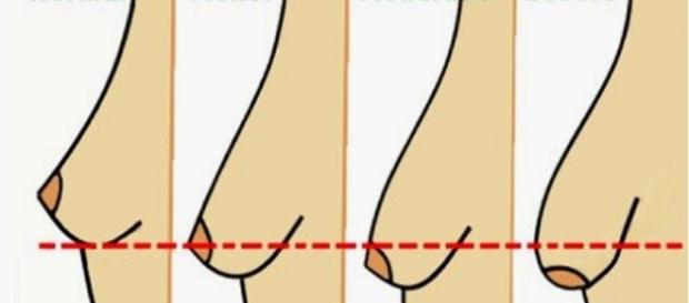 Os estágios dos seios femininos Os estágios dos seios femininos