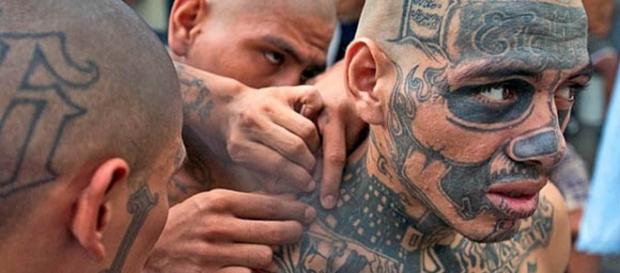 Owl tattoo gang | Tattoo Collection - web-tattoo.com Owl tattoo gang | Tattoo Collection - web-tattoo.com