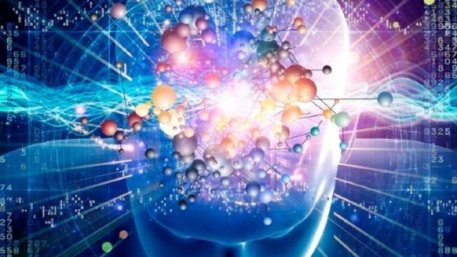 Equilibrio del cervello, il segreto &egrave; nelle connessioni