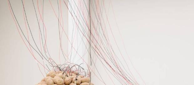 As instalações artísticas propõem uma reflexão sobre a incerteza da arte contemporânea As instalações artísticas propõem uma reflexão sobre a incerteza da arte contemporânea