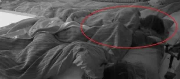 GH17: ¡¡Primer edredoning de Rodrigo y Bea!! GH17: ¡¡Primer edredoning de Rodrigo y Bea!!