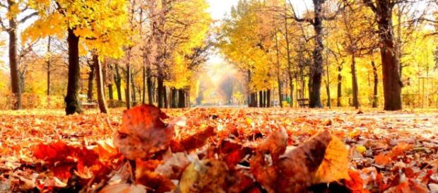 Herbst ist Leben, das in die Tiefe geht - Mirlime - mirlime.com Herbst ist Leben, das in die Tiefe geht - Mirlime - mirlime.com