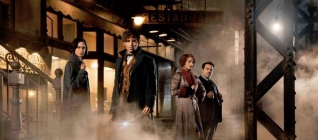 Les Animaux fantastiques : un fan de Harry Potter dévoile un ... - staragora.com Les Animaux fantastiques : un fan de Harry Potter dévoile un ... - staragora.com