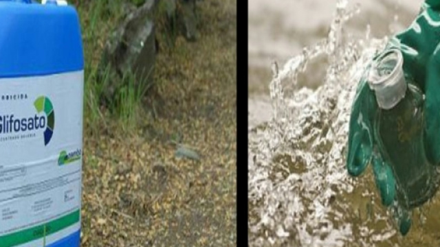 Nel Po glifosato oltre i limiti