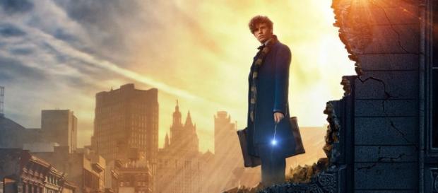 'Animais Fantásticos e Onde Habitam' tem tudo para ser um dos maiores sucessos no cinema 'Animais Fantásticos e Onde Habitam' tem tudo para ser um dos maiores sucessos no cinema
