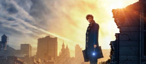 Animali fantastici e dove trovarli dal libro di J.K.Rowling: uscita, trama, cast, trailer, curiosità Animali fantastici e dove trovarli dal libro di J.K.Rowling: uscita, trama, cast, trailer, curiosità