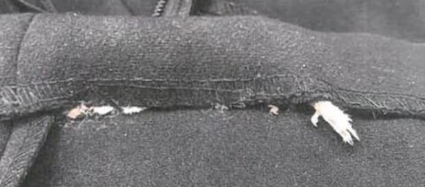 Dai topi morti ai ragni, le cose più oscene trovate tra gli acquisti - yahoo.com Dai topi morti ai ragni, le cose più oscene trovate tra gli acquisti - yahoo.com