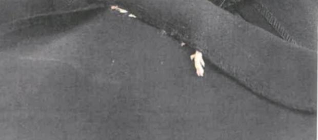 Esta chica encontró un ratón muerto cosido a su vestido nuevo de ... - estarguapas.com Esta chica encontró un ratón muerto cosido a su vestido nuevo de ... - estarguapas.com