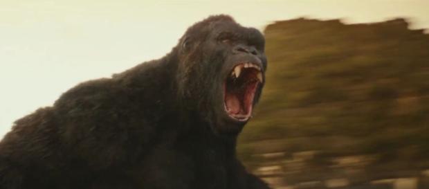 Kong: Skull Island Final Official Trailer - Computer Graphics ... - cgmeetup.net Kong: Skull Island Final Official Trailer - Computer Graphics ... - cgmeetup.net