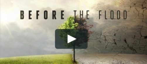 Documental “Before the flood" / vimeo.com