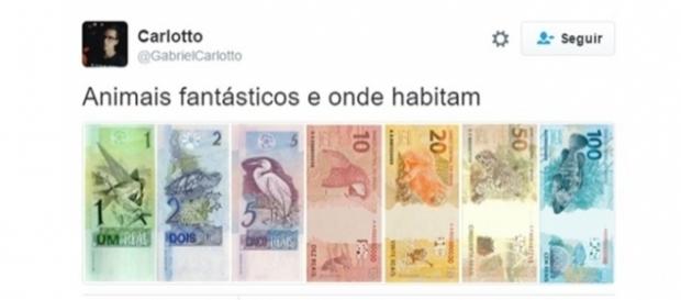 Animais fantásticos e onde habitam. Animais fantásticos e onde habitam.