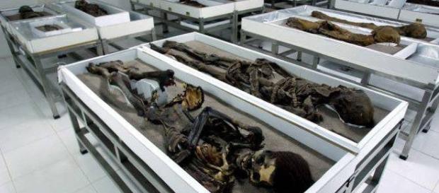 Múmias de mais de 6.000 anos do povo chinchorro, no Chile Múmias de mais de 6.000 anos do povo chinchorro, no Chile
