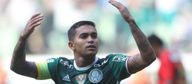 Palmeiras de Dudu está muito próximo do título nacional Palmeiras de Dudu está muito próximo do título nacional