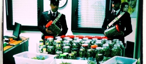 I nove chili di marijuana sequestrati dai Carabinieri.