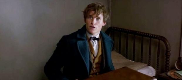 Eddie Redmayne fait un bon démarrage US avec "Les Animaux Fantastiques" Eddie Redmayne fait un bon démarrage US avec "Les Animaux Fantastiques"