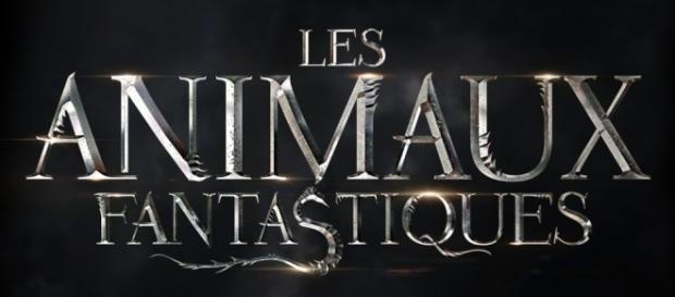 Les Animaux Fantastiques: des sorciers feront leur appartition - geeksandcom.com Les Animaux Fantastiques: des sorciers feront leur appartition - geeksandcom.com
