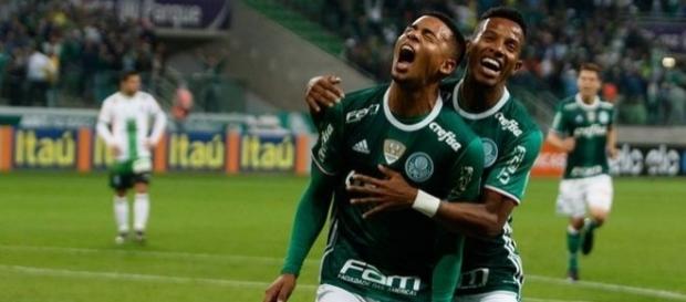 O Palmeiras pode ser campeão nesse domingo, no jogo em casa, diante do Botafogo. O Palmeiras pode ser campeão nesse domingo, no jogo em casa, diante do Botafogo.