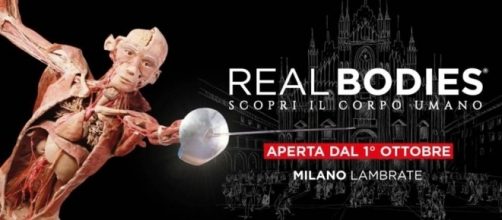 Mostra "Real Bodies" allestita a Milano