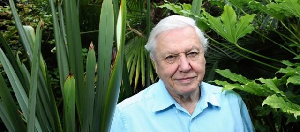 David Attenborough to present 'Planet Earth 2' in 2016 - NME - nme.com David Attenborough to present 'Planet Earth 2' in 2016 - NME - nme.com