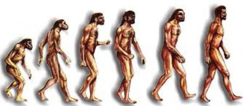 La evolución humana a través de llos tiempos