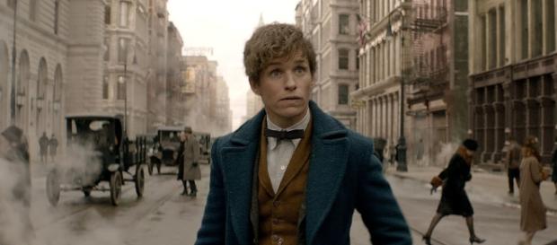 Eddie Redmayne, protagonista di "Animali Fantastici e dove trovarli" Eddie Redmayne, protagonista di "Animali Fantastici e dove trovarli"