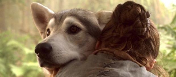 Game of Thrones' just made a big change to one character's story ... - yahoo.com Game of Thrones' just made a big change to one character's story ... - yahoo.com