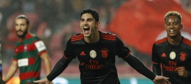 Gonçalo Guedes tem estado em grande forma no SL Benfica Gonçalo Guedes tem estado em grande forma no SL Benfica