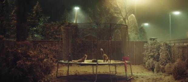 John Lewis Christmas advert: Buster the Boxer soft toy now on sale ... - chroniclelive.co.uk John Lewis Christmas advert: Buster the Boxer soft toy now on sale ... - chroniclelive.co.uk