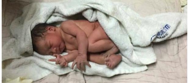 Menina tinha apenas alguns minutos de vida Menina tinha apenas alguns minutos de vida