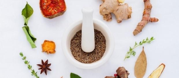 Nicht immer sind Antibiotika die bessere Alternative Nicht immer sind Antibiotika die bessere Alternative