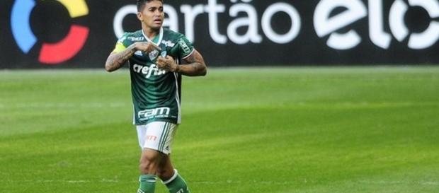 Palmeiras vence Botafogo e está perto do título de campeão brasileiro 2016 Palmeiras vence Botafogo e está perto do título de campeão brasileiro 2016