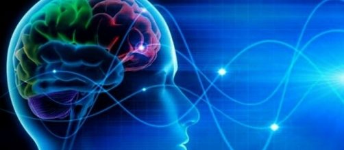 Alzheimer: scoperta proteina che protegge la memoria
