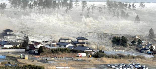 Fukushima - instinto de sobrevivência Fukushima - instinto de sobrevivência