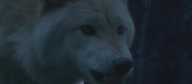 Game of Thrones video: season 6 extended & deleted scenes. Screencap: We Got This Covered via YouTube Game of Thrones video: season 6 extended & deleted scenes. Screencap: We Got This Covered via YouTube