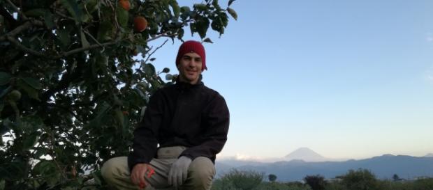 Recogiendo persimmons, detrás mío el Monte Fuji. Recogiendo persimmons, detrás mío el Monte Fuji.