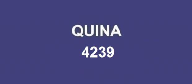 Resultado da Quina 4239 divulgado pela Caixa Resultado da Quina 4239 divulgado pela Caixa