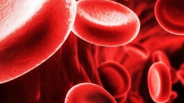 Anemia di Fanconi, di cosa si tratta | Ability Channel - abilitychannel.tv