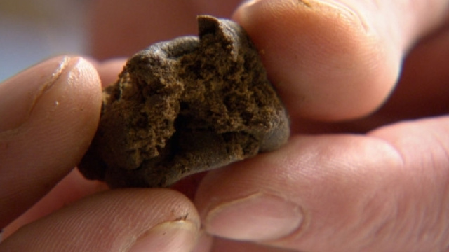 Bari, bimbo mangia hashish e va in coma