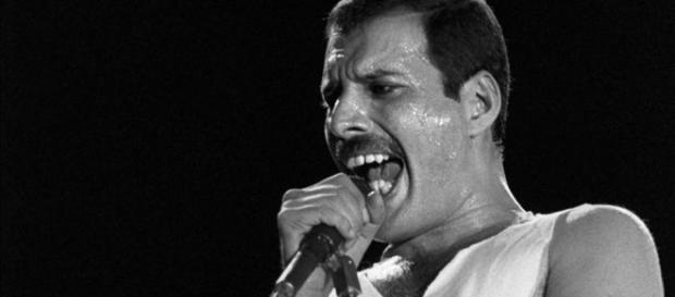 L'intramontabile mito di Freddie Mercury e i retroscena della malattia in un libro. L'intramontabile mito di Freddie Mercury e i retroscena della malattia in un libro.