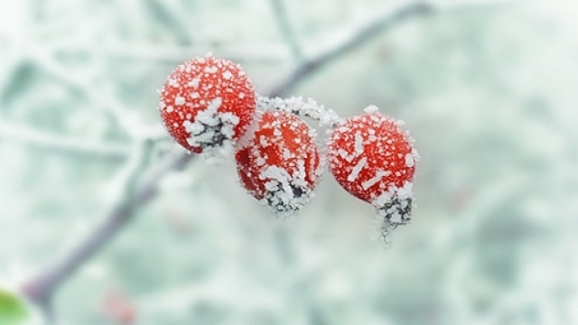Solstizio d'inverno il 21 dicembre