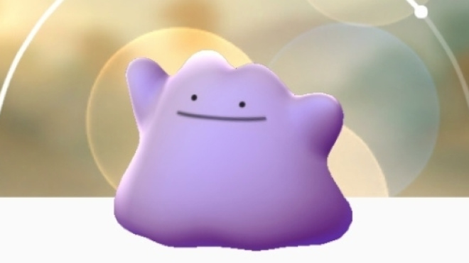 Ecco come catturare il raro pokémon.